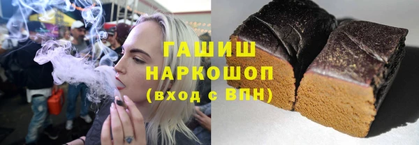 шишки Новодвинск
