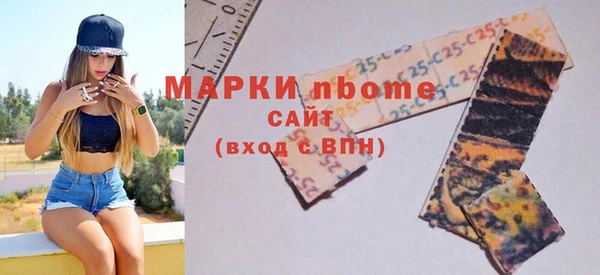 шишки Новодвинск