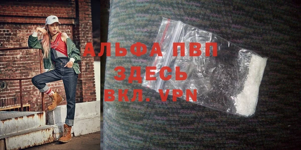 шишки Новодвинск