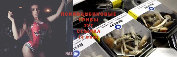 spice Нефтекумск
