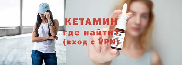 шишки Новодвинск