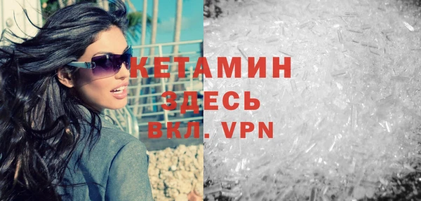 шишки Новодвинск