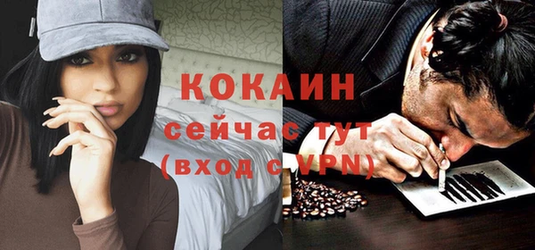 тгк Нея