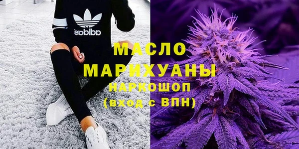 шишки Новодвинск