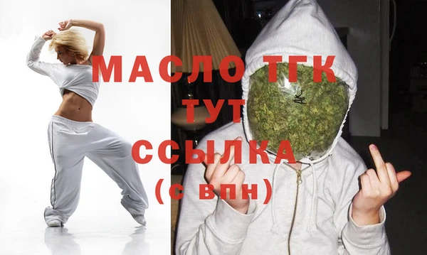 шишки Новодвинск
